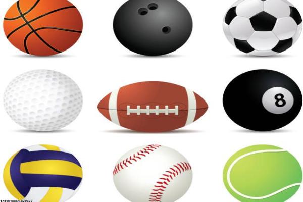 郑州地区体育项目合作协议要点解析