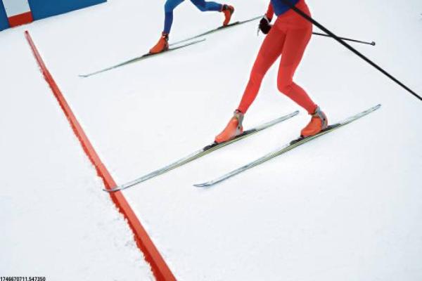 河北省体育培训价格与市场走势的详细分析