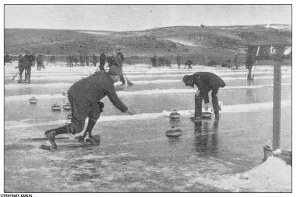 全球体育项目市值排名:哪些项目最赚钱?