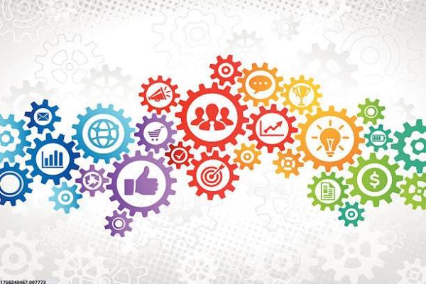 体育培训课程如何满足个性化需求