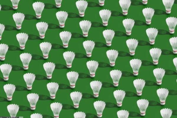 赣州中考体育特长生的招生政策 赣州中考体育特长生的招生政策(图1)